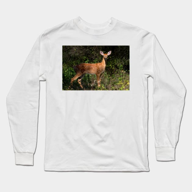 Fawn Times - White-tailed deer Long Sleeve T-Shirt by Jim Cumming